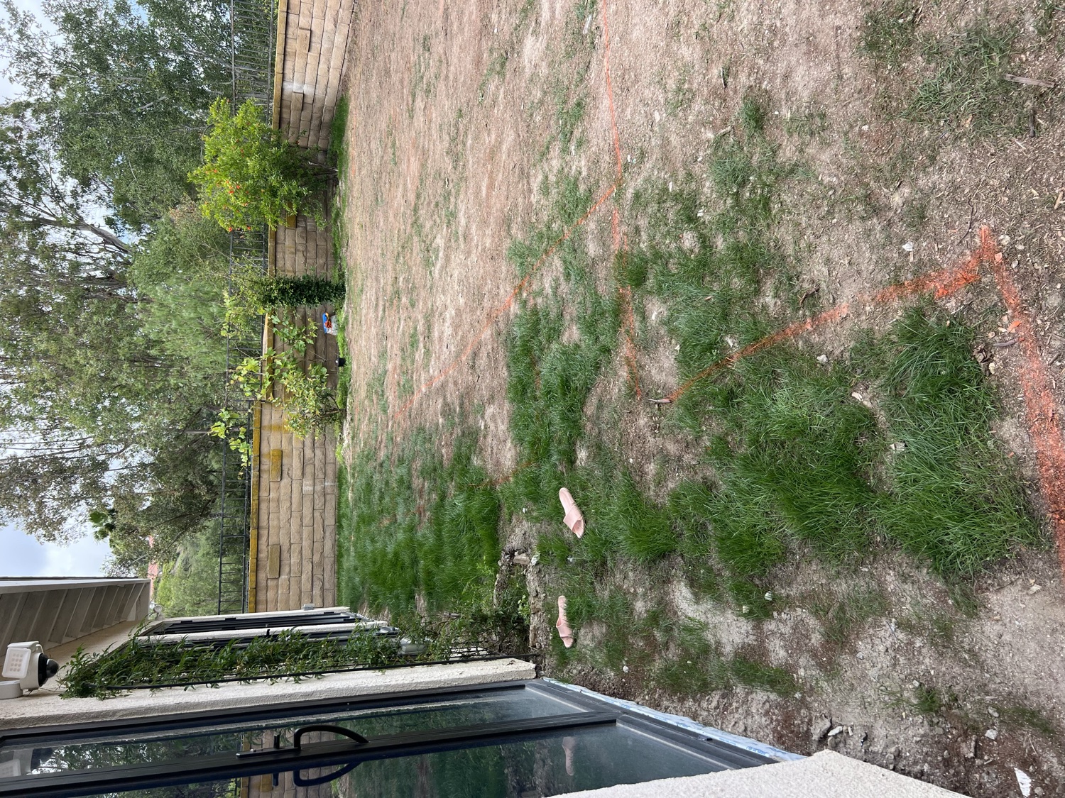Before — the original yard