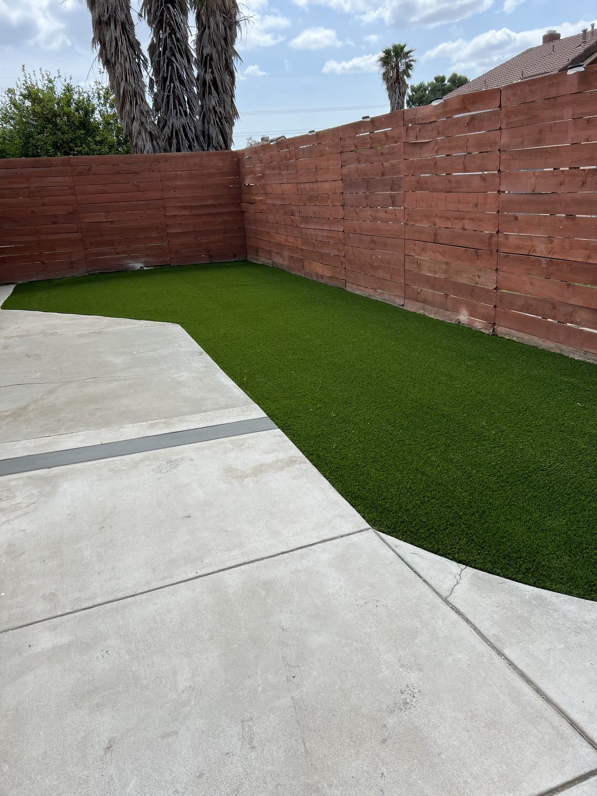 Backyard turf laid to a curved edge against a new concrete patio